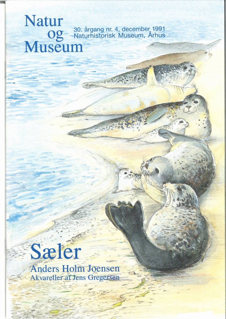 Sæler
